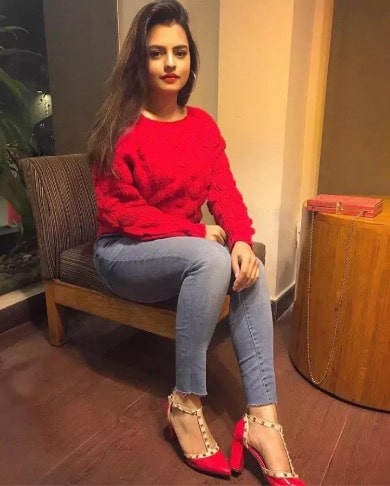 Ludhiana Call Girls